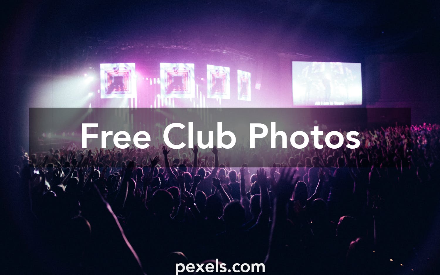 Club Images · Pexels · Free Stock Photos