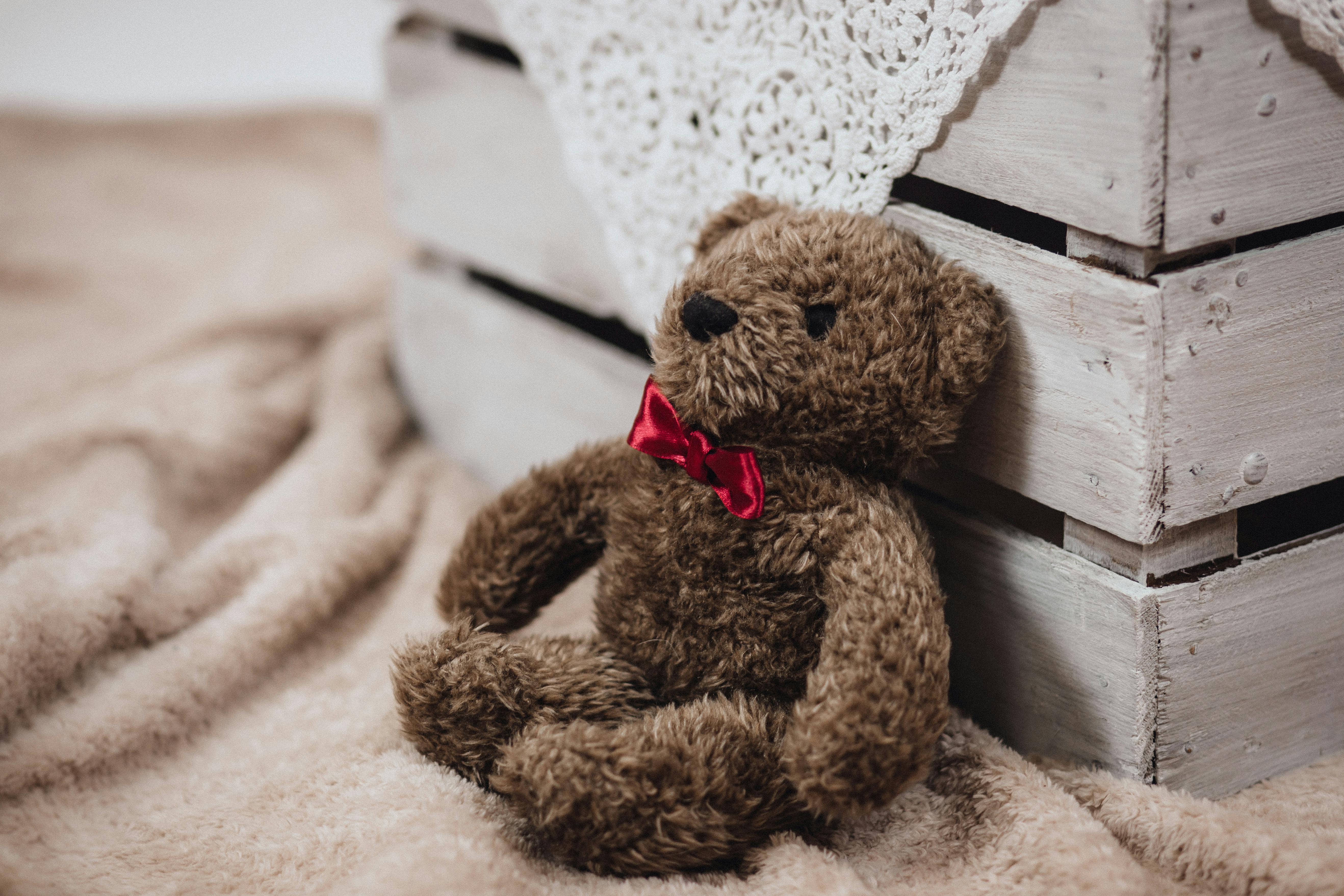 Free Stock Photos Of Teddy Bear · Pexels