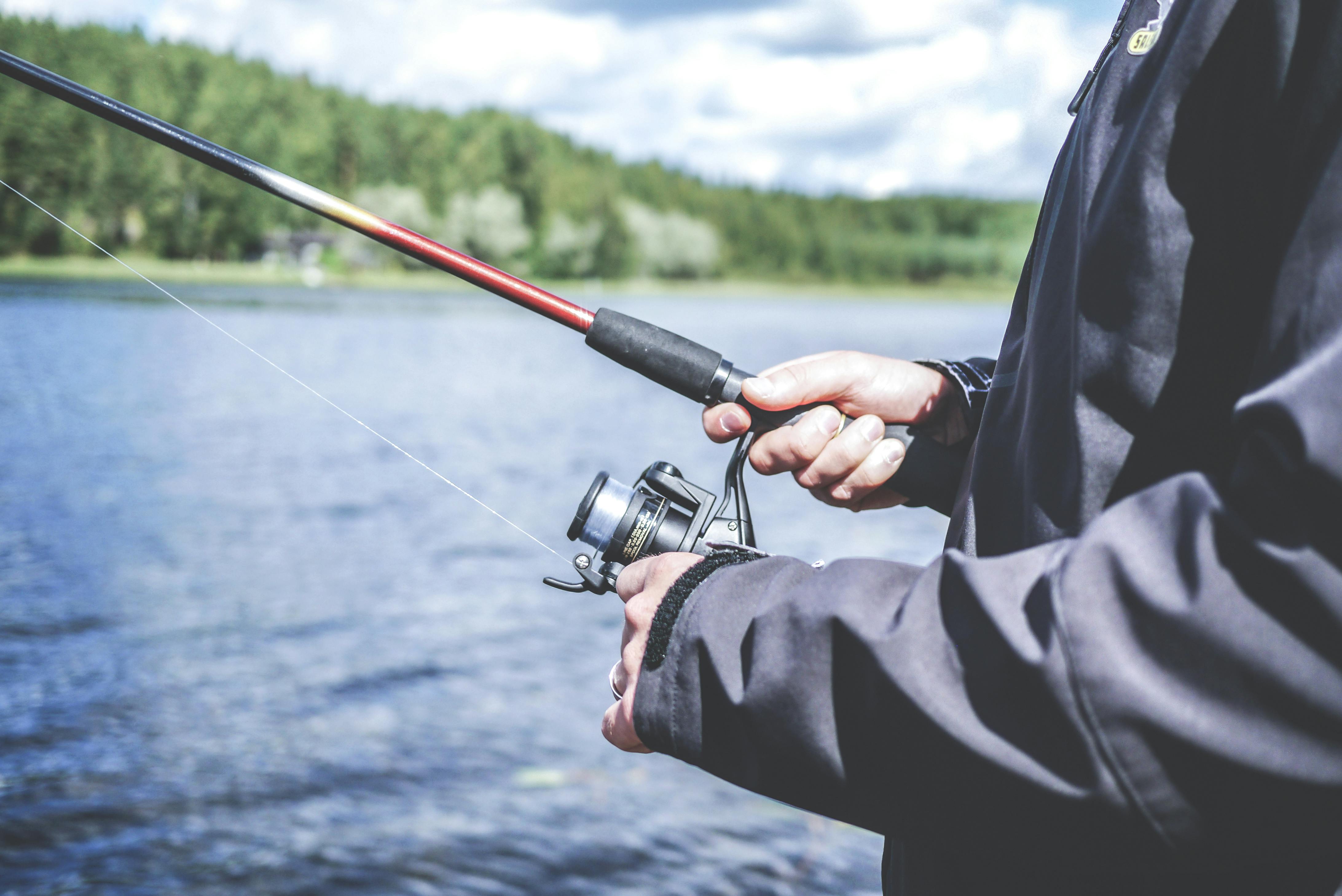 Free stock photos of fishing · Pexels