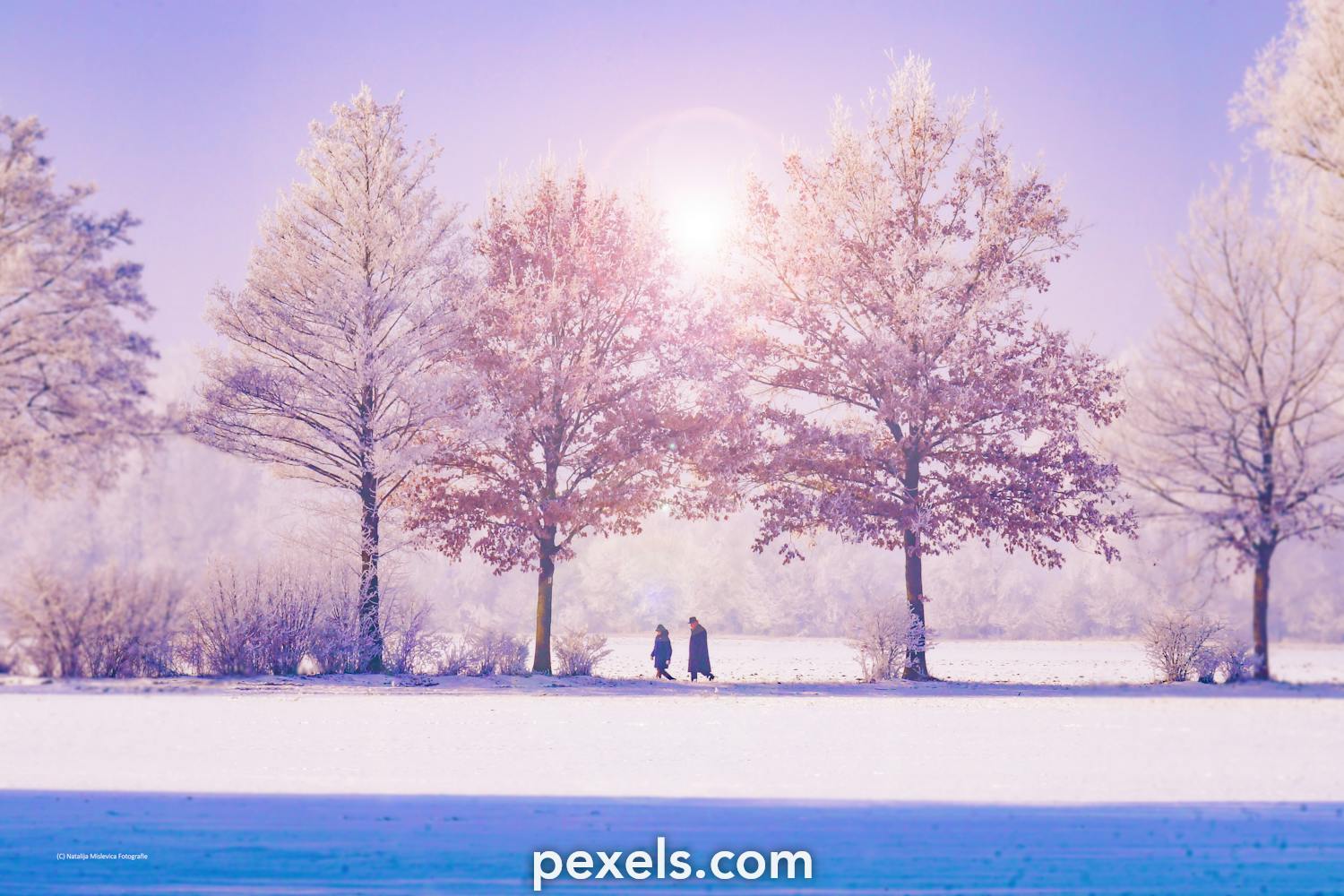 kostenlose bilder zum thema winterlandschaft pexels christmas portrait background