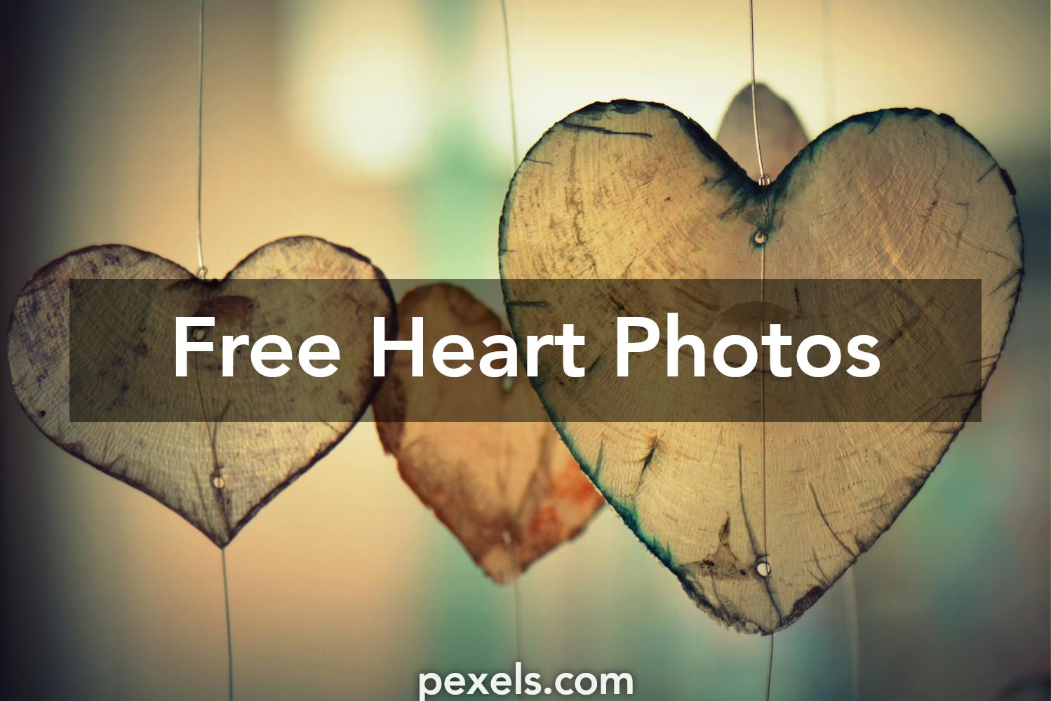 Free stock photos of heart  Pexels 