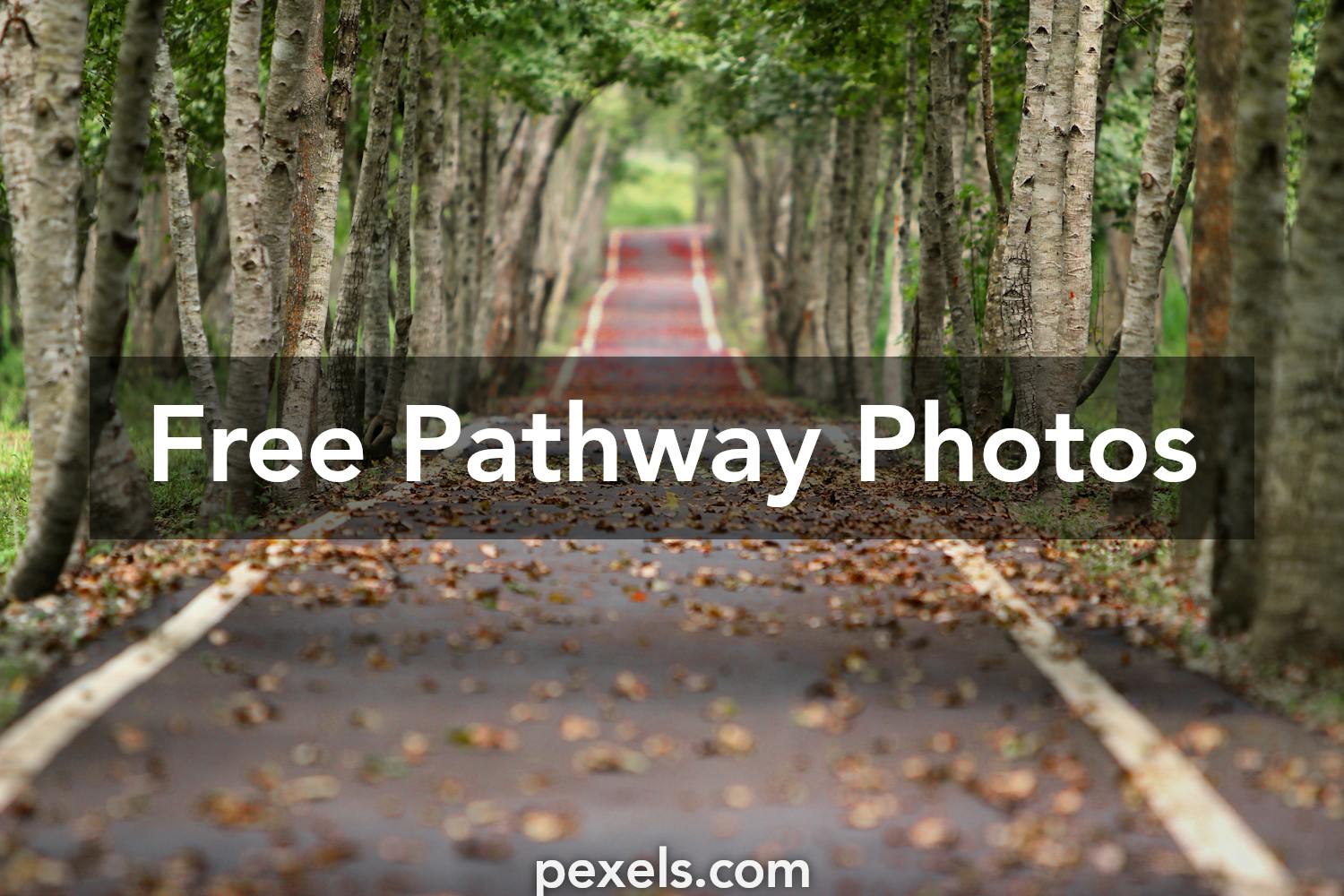 Free stock photos of pathway · Pexels