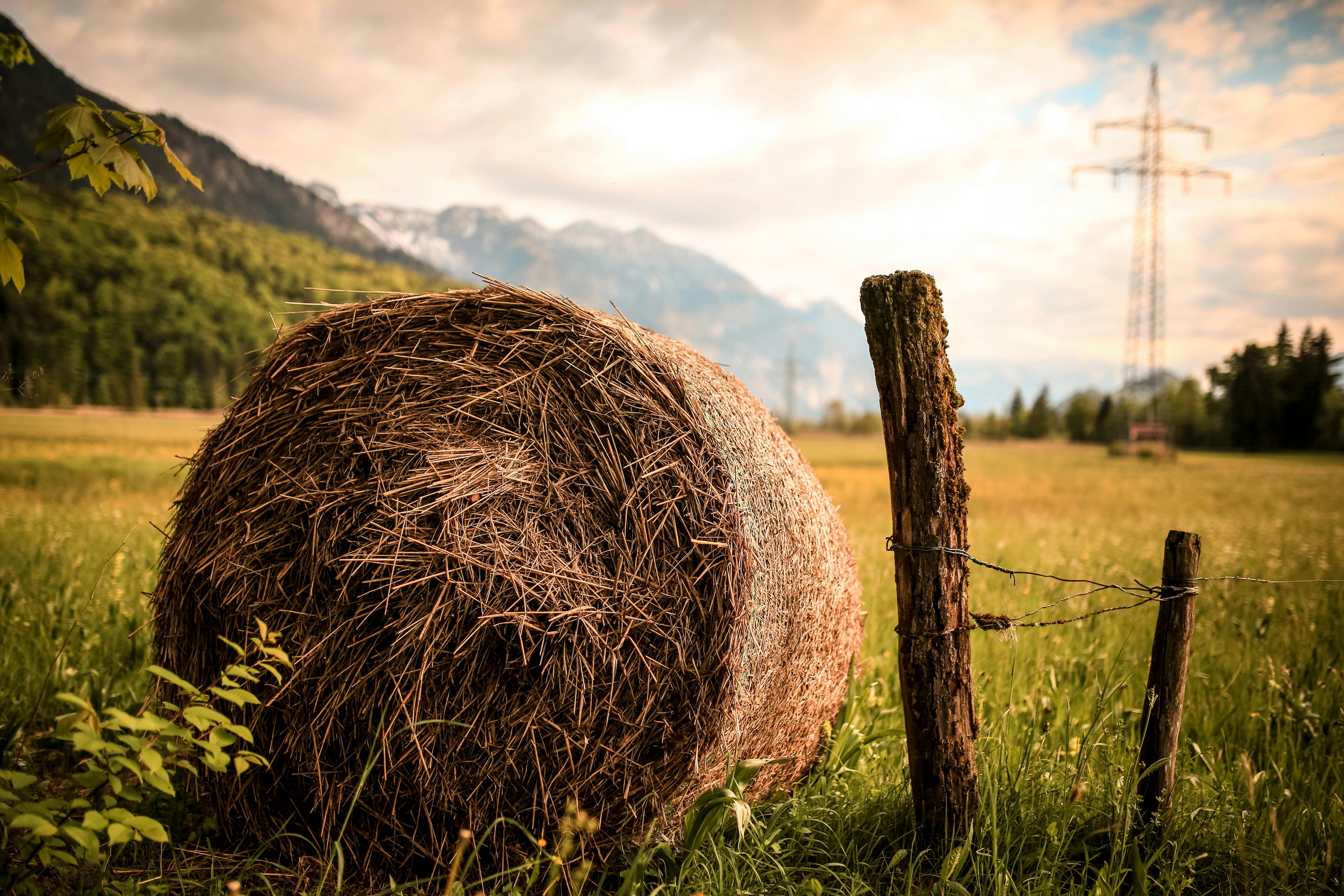 Free stock photos of country · Pexels