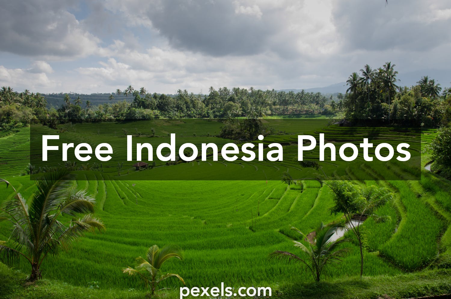 Free stock photos of indonesia · Pexels