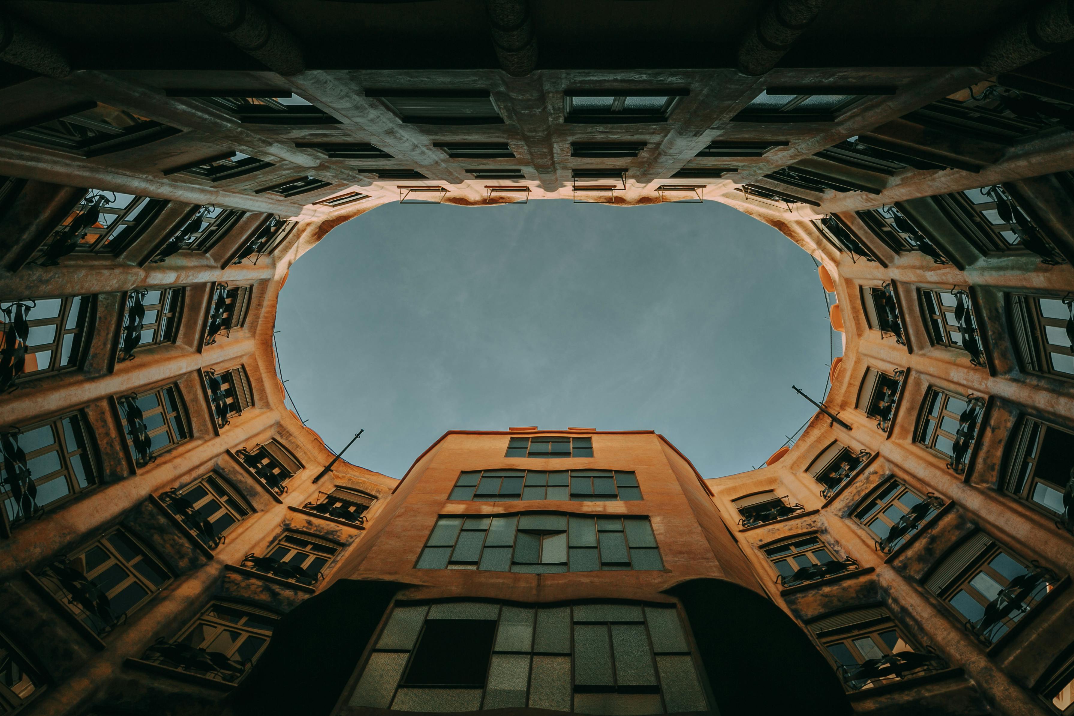 Free stock photos of oval · Pexels